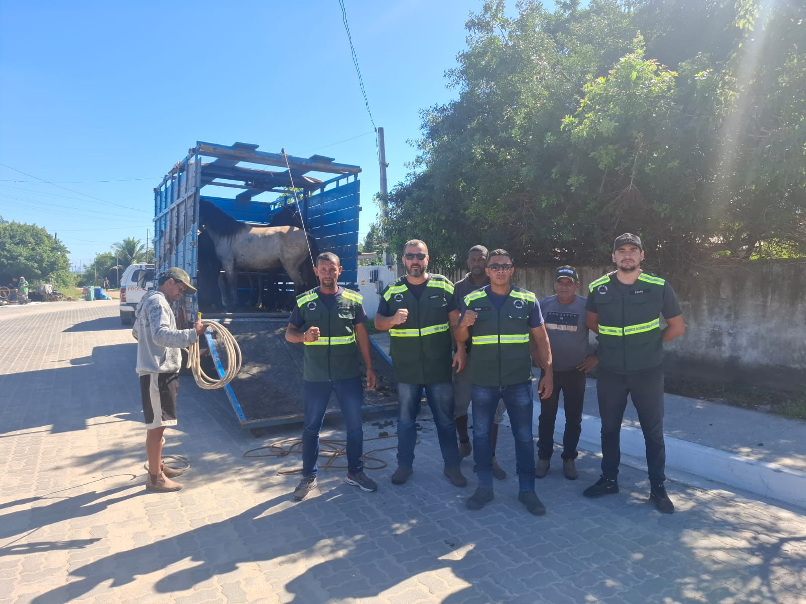 Arraial do Cabo realiza operação para apreensão de cavalos soltos