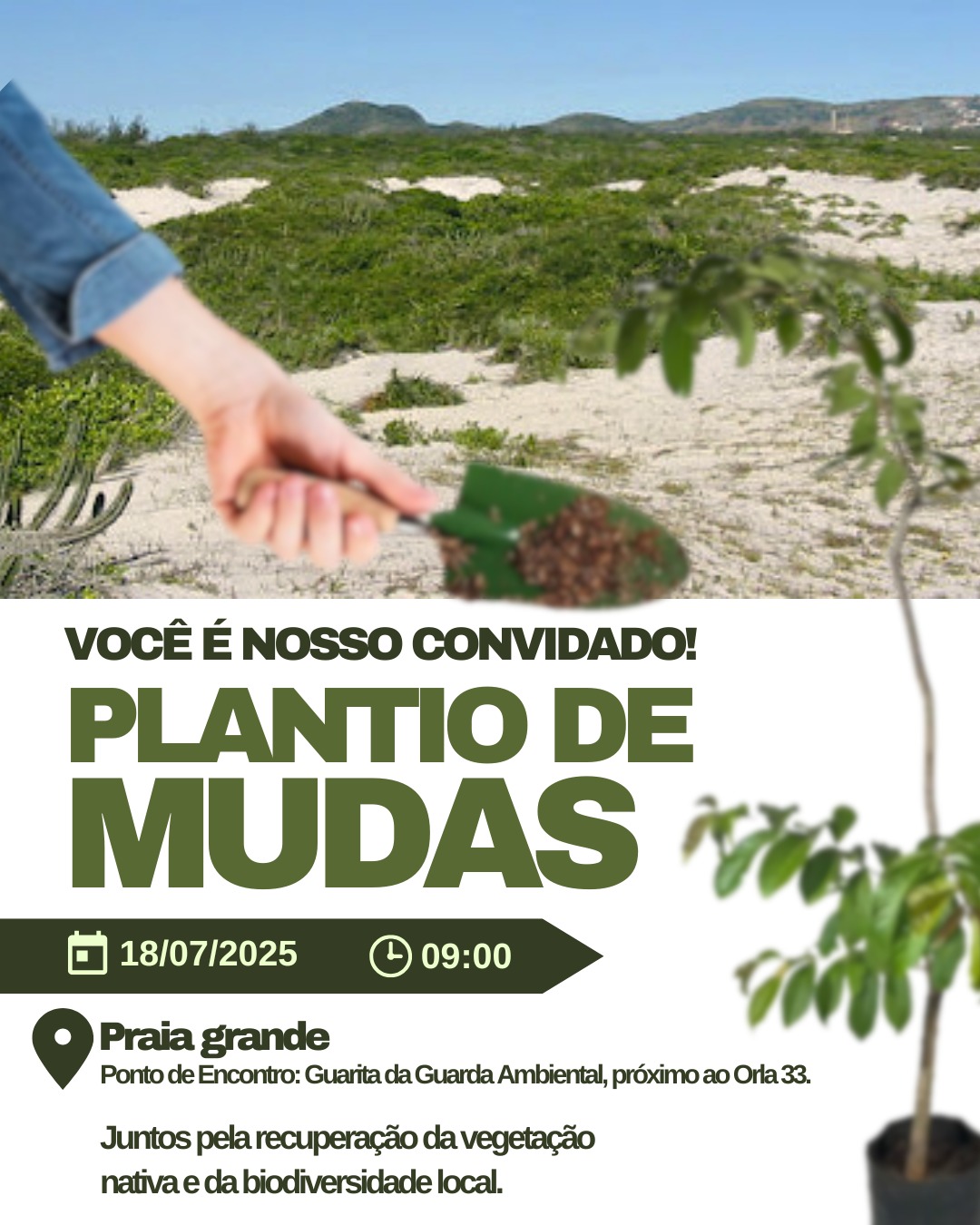 Arraial do Cabo realiza plantio de mudas nativas