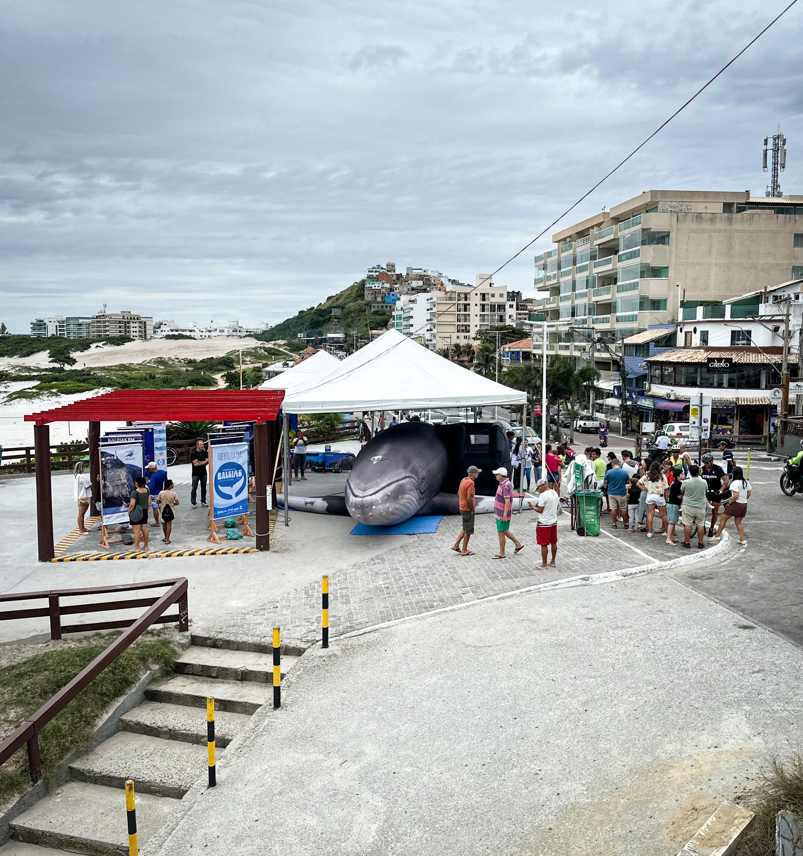 Baleia inflável do Instituto Baleia Jubarte retorna à Praia Grande, em Arraial do Cabo, para a Mar-à-Tona Ambiental