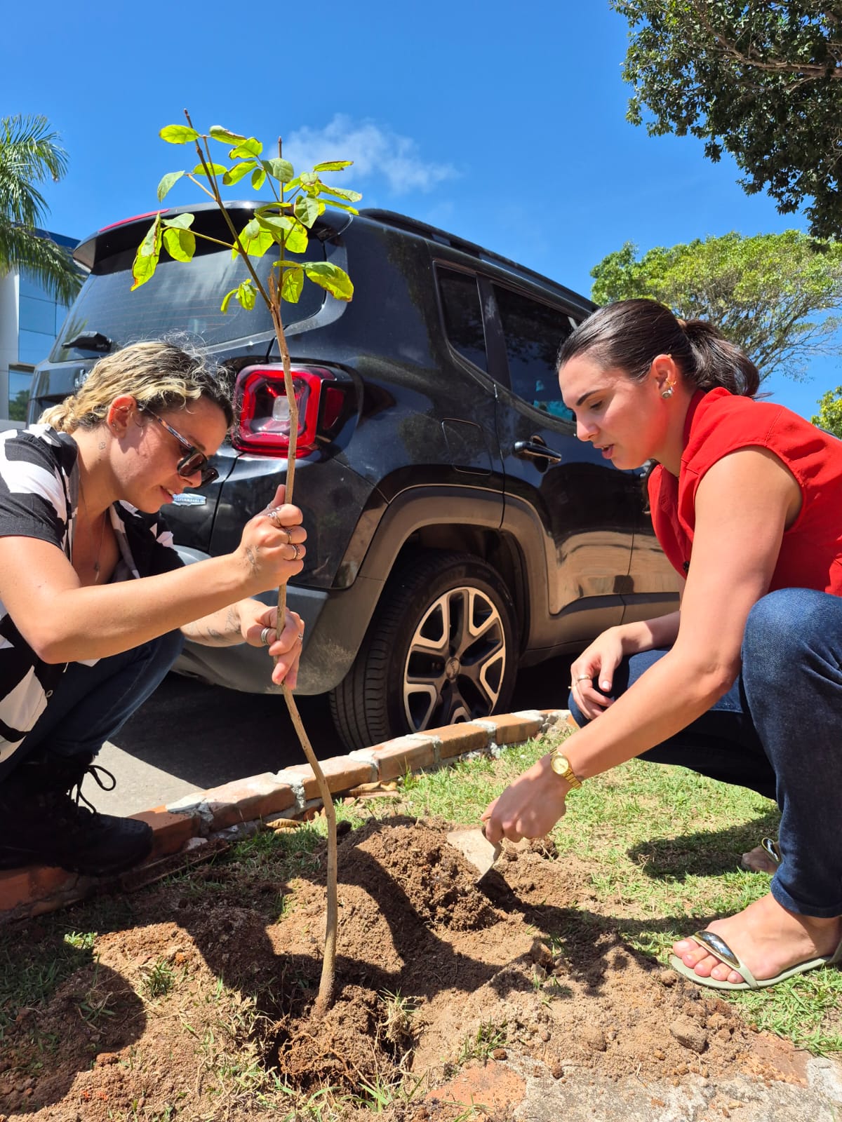 Semas se une a setores públicos para plantio de mudas