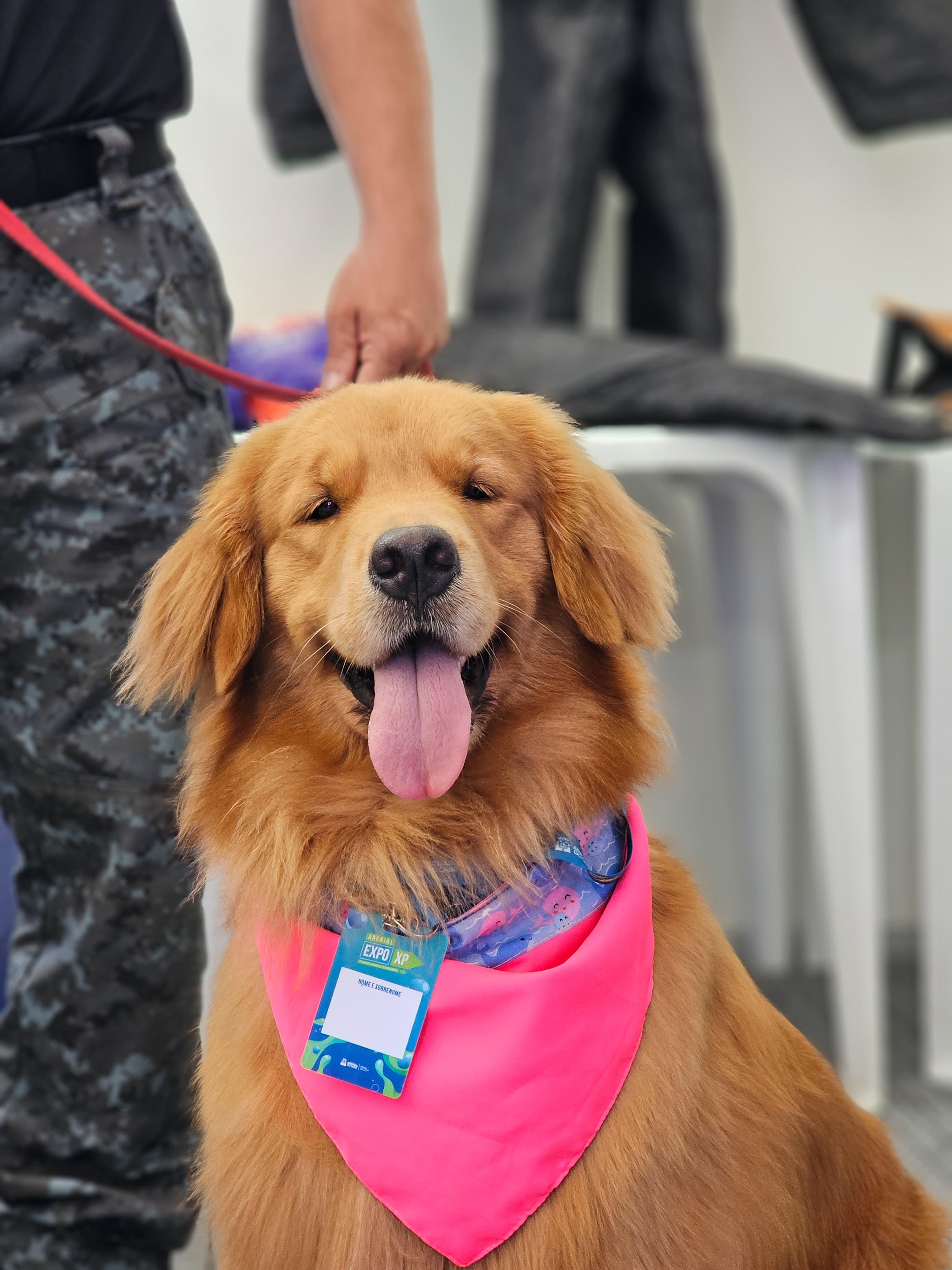Buzz e Bonnie na Expo XP