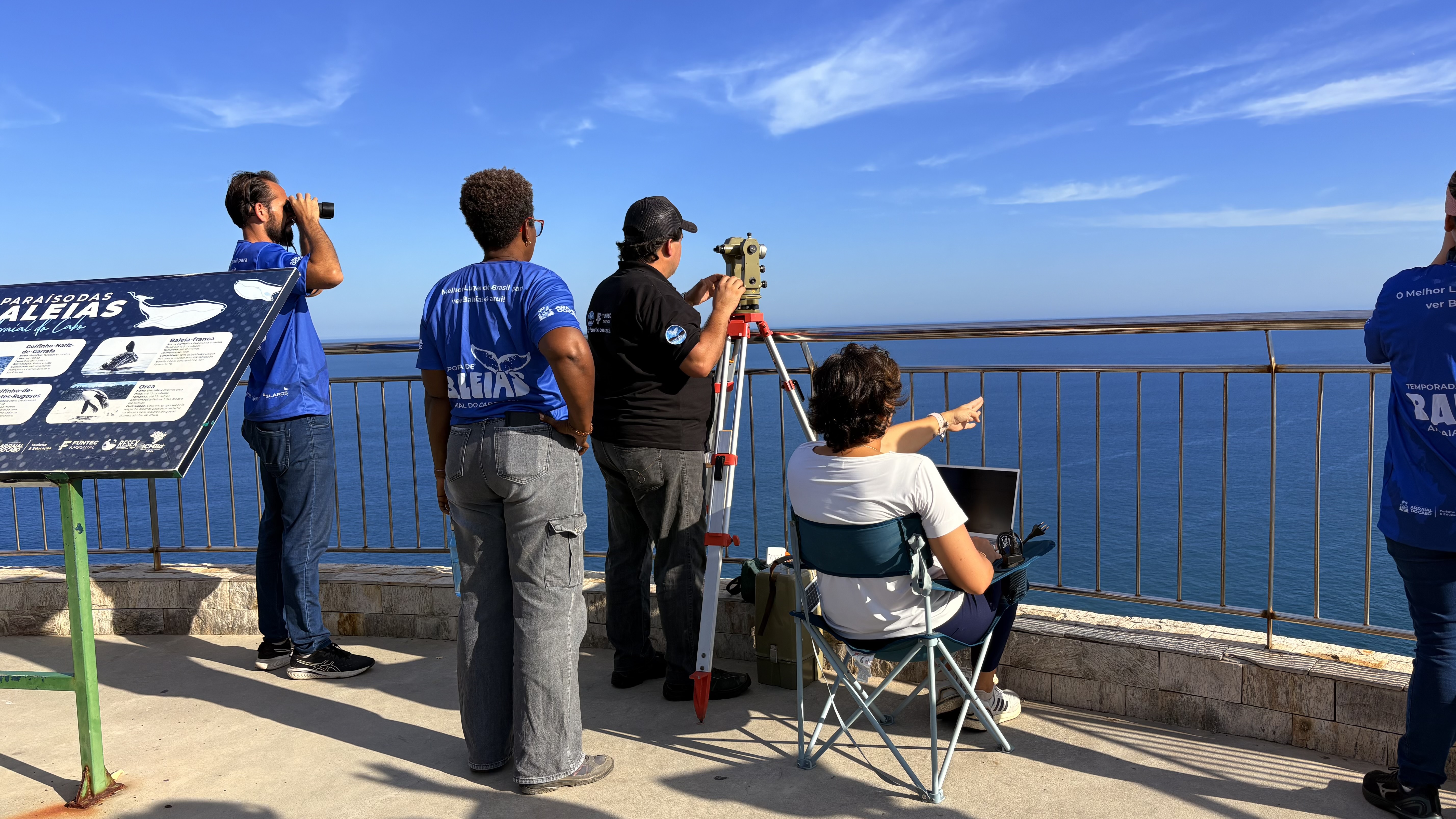 Projeto Mar de Baleias registra 960 avistamentos de baleias-jubarte em três meses de monitoramento em Arraial do Cabo